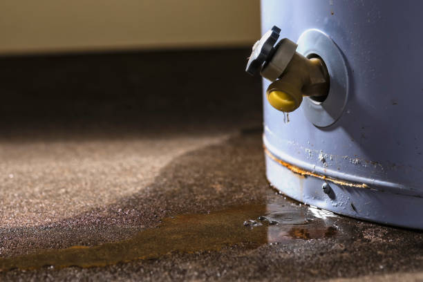 Best Flood damage cleanup  in San Bernardino, CA
