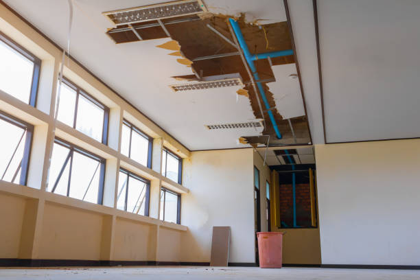 Best Water damage cleanup near me  in San Bernardino, CA