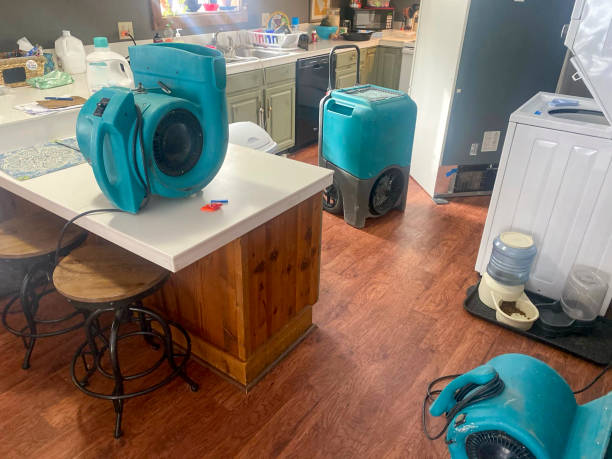 Best 24-hour water damage restoration  in San Bernardino, CA