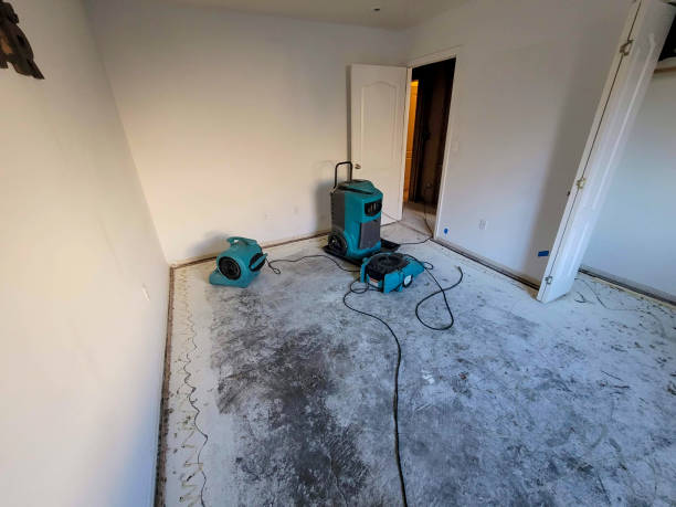 Best Water damage restoration specialists  in San Bernardino, CA
