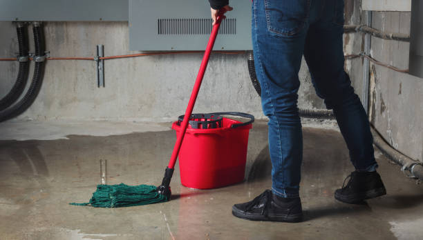 Best 24/7 water damage repair  in San Bernardino, CA