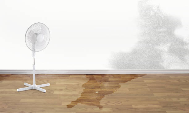 Best Residential water damage restoration  in San Bernardino, CA