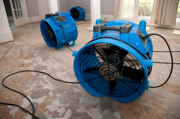 Best Professional water damage repair  in San Bernardino, CA