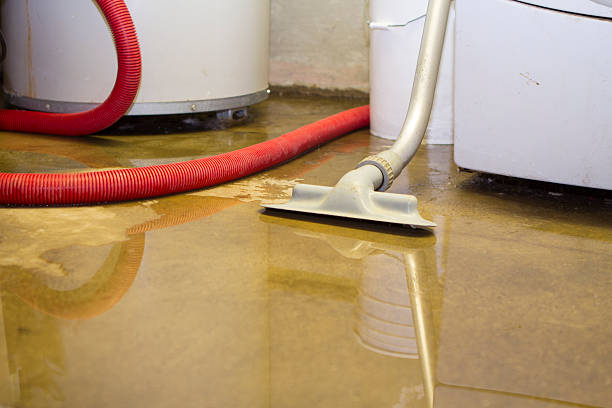Best Water damage cleanup near me  in San Bernardino, CA