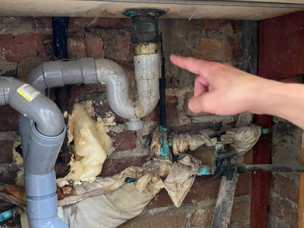 Best Water damage restoration cost  in San Bernardino, CA