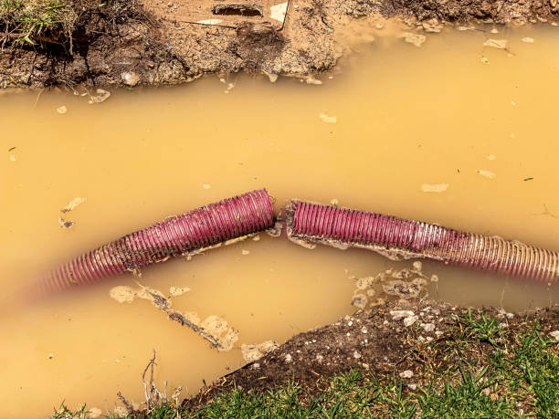Best Water damage restoration near me  in San Bernardino, CA