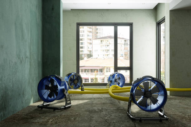 Best 24/7 water damage repair  in San Bernardino, CA