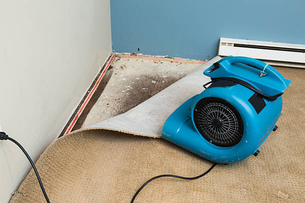 24/7 water damage repair in CA